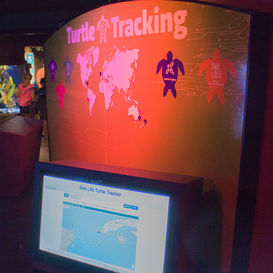 overview of the Turtle Tracking component